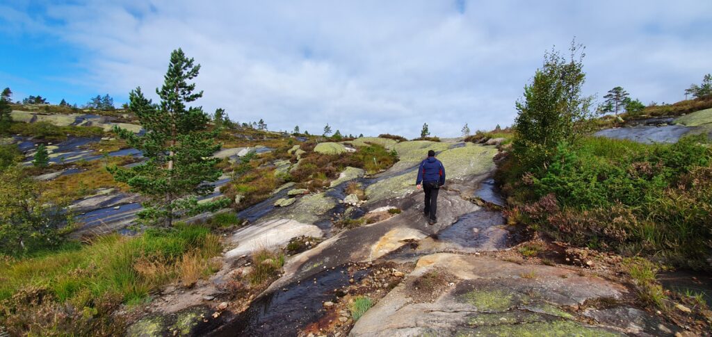 Marked trail on the easy hike to Himmelriket in Southern Norway