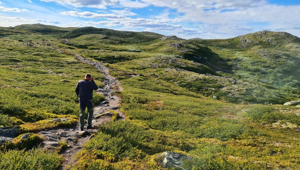 Easy mountain hike Dagali with marked trail leading towards Djupegrønuten peak