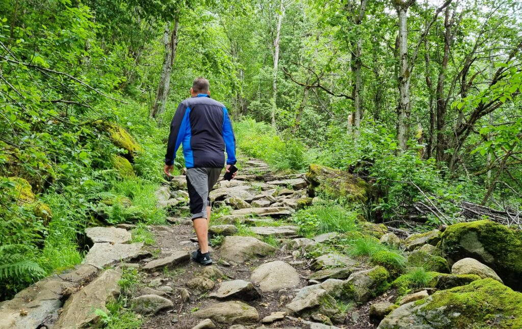 A forest path leads uphill towards the hidden waterfall above Geiranger.
