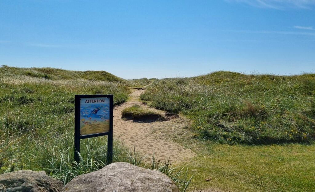 Hiking path along the Ogna coastal walk with views of Norway's hidden beaches