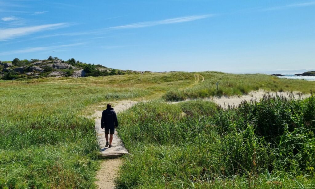 Sand dunes and coastal grass framing Ogna beach, Norway's hidden beaches