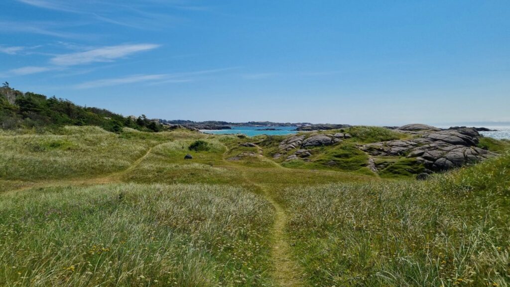 Trail through dunes leading to Ogna beach, Norway's hidden beaches
