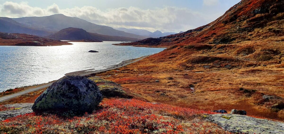 Road Trip and easy hike Bygdin Norway