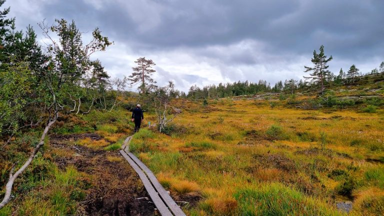Boardwalk across marshland on the easy hike to Himmelriket Norway