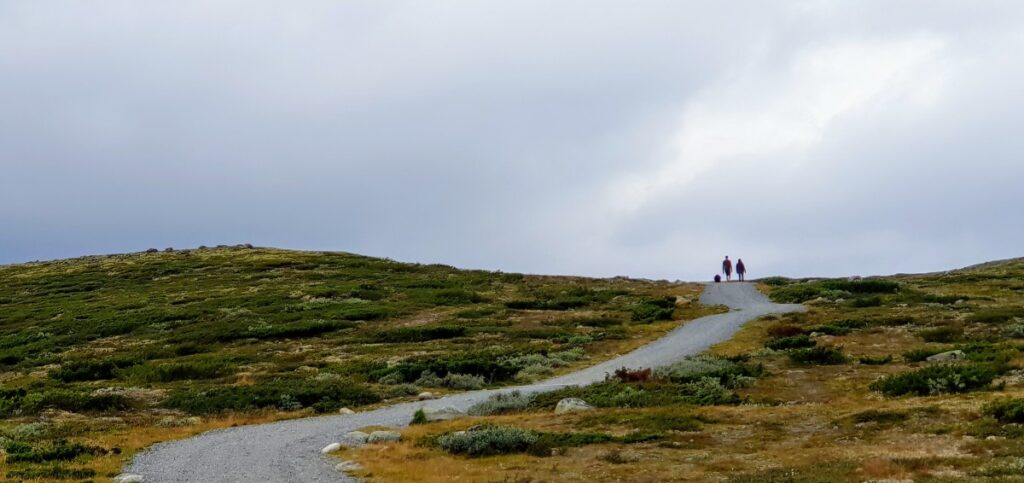 Short trail to Snøhetta Viewpoint on Dovrefjell – an easy hike with stunning views even in cloudy weather