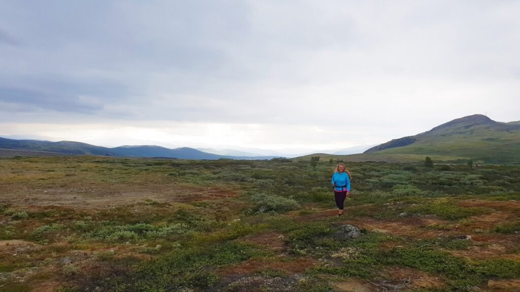 Heather and moss landscape on Dovrefjell, along the Easy Hike to Snøhetta Viewpoint