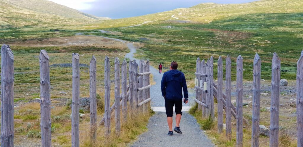 Family-friendly gravel path on Dovrefjell, perfect for an Easy Hike to Snøhetta Viewpoint