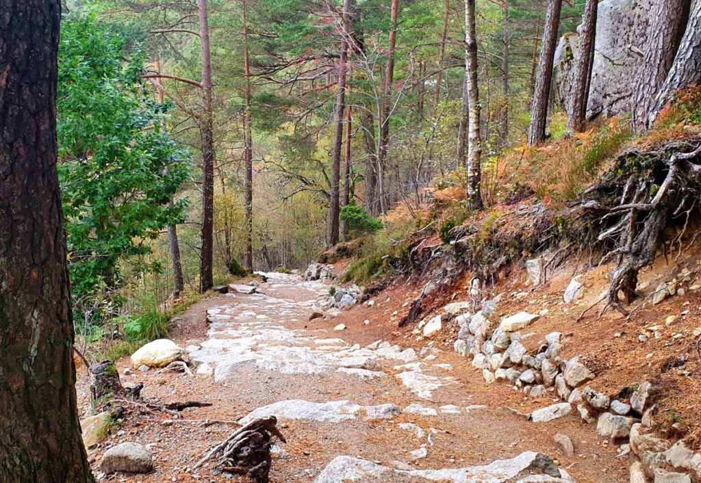 Trail to Pulpit Pit - Preikestolen