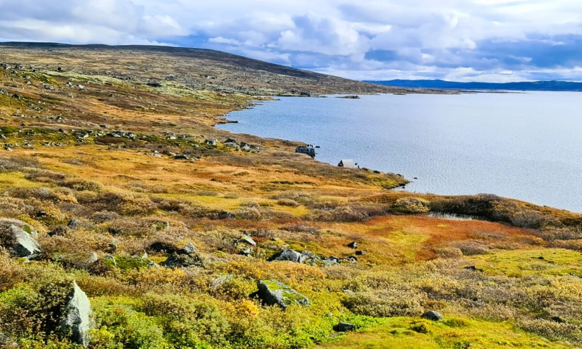 Road Trip Norway - the Harndangervidda Mountain Road - View from the campervan autumn
