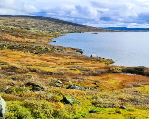 Road Trip Norway - the Harndangervidda Mountain Road - View from the campervan autumn